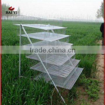 BAIYI Pyramid Type Layer Wire Mesh Quail Cage For Sale