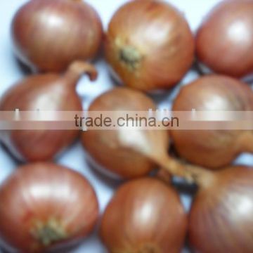 Farm Small Pears Onions