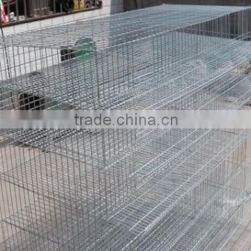 Chicken Cage/Quail Cages/Poultry Cage(Factory)