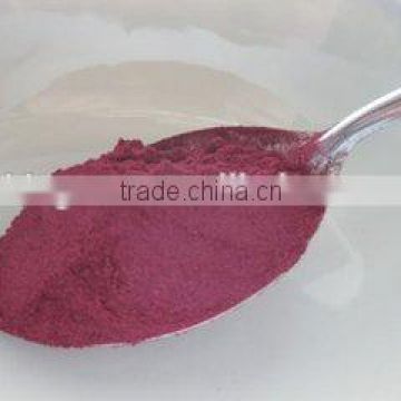 Frozen dried blueberry powder for sale