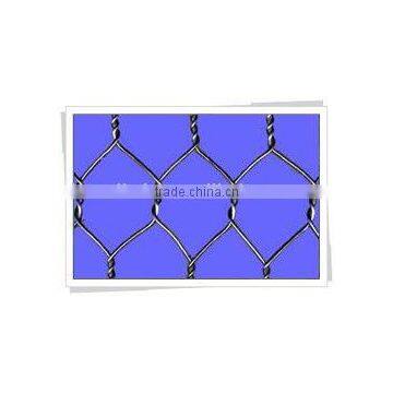 Hot dipped galvanized Hexagonal wire mesh