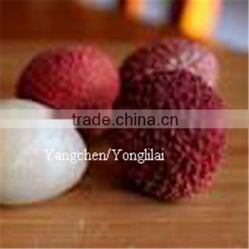 wholesale canned flesh lychee fruits