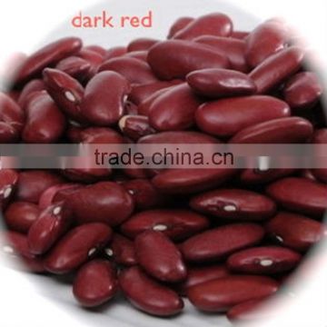 JSX excellent red speckled kidney bean split large and small size pinto beans