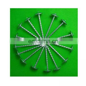 Trade Assurance Manufacturer supply corrugated roofing nails