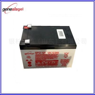 Arnos Genesis Battery NP Sealed NP Series Valve Controlled Sealed NP65-12 Lead Acid 12V65AH
