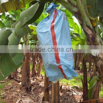polypropylene spunbond non woven fabric bunch covering in banana