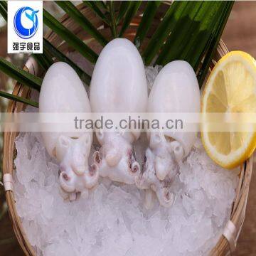 New Arrival Frozen Seafood Baby Cuttlefish