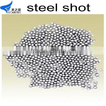 Supply Stainless Steel Shot for s170
