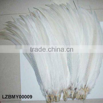 silver pheasant tail feathers LZBMY00009