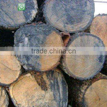 High Quality White Oak Logs