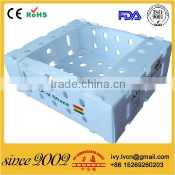 Plastic Corrugated Packing Box Made in China