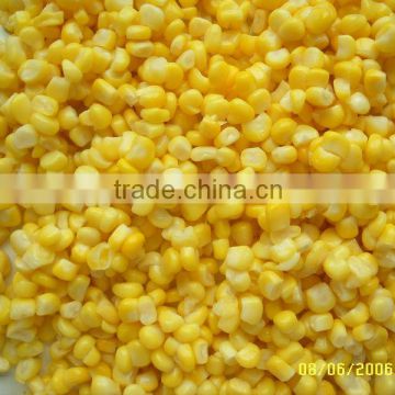 CANNED FOOD WITH VERY FAIR PRICE CANNED SWEET CORN WITH VERY GOOD TASTE SWEET FLAVOR