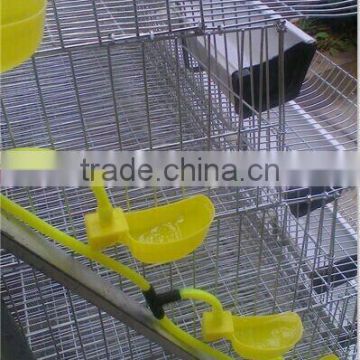 automatic drinking system quail cages