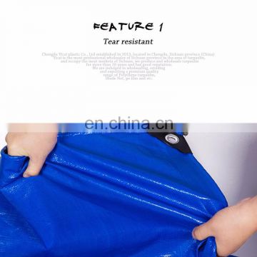 2019 best seller roof tarp and truck tarp system made in china sales in america brandnew PE material