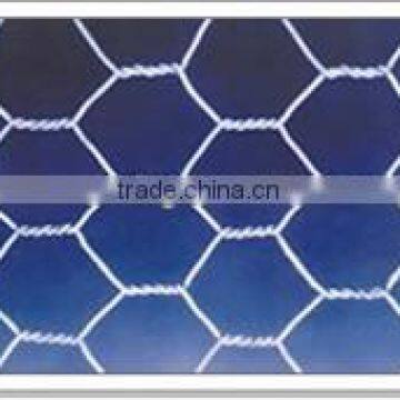 aprture3/8"hexagonal netting