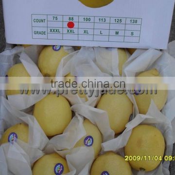 2013 New crop Chinese fresh Honey Pomelo