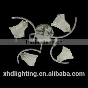 XHD Lighting modern delicate ceiling lamp for indoor decoration