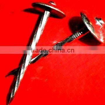 galvanized Roofing Nails