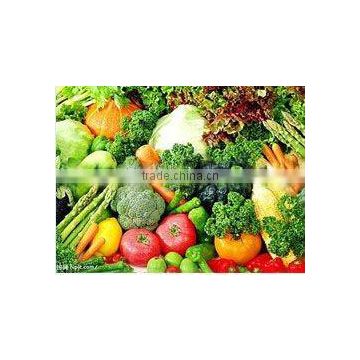 2012 seasonable fresh vegetables in different pack