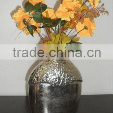 Flower Vase for Home Decoration