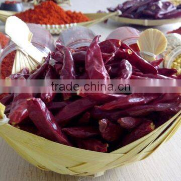 Dried Hot stemless Chaotian Chili