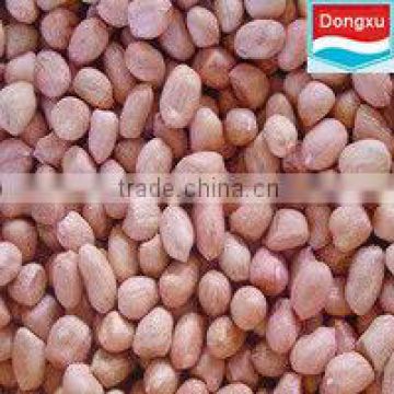 chinese good quality raw organic peanuts