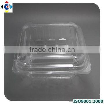 Disposable PET Clear Container, Plastic Snap