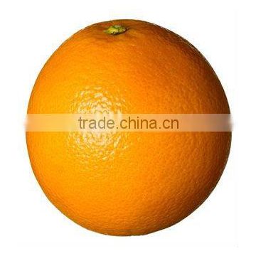 2016 Special Mandarin Offer - Orange