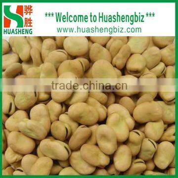 CHINA IQF broad bean kerneal