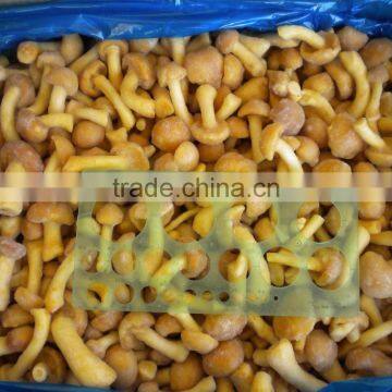 Frozen mushroom nameko crop 2016 healthy