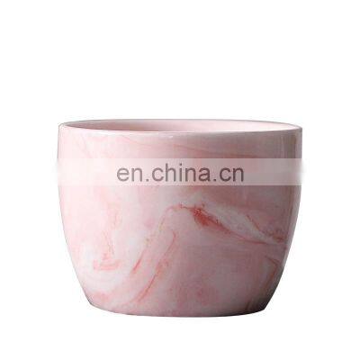 Succulent Small Nordic Simple Ceramic Marble Flower Pot