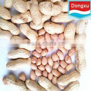 peanut in shell/ peanut kernels