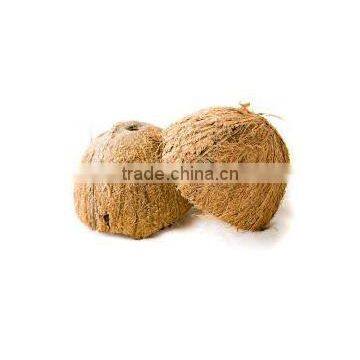 High Quality Cheap coconut shell supplier