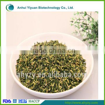 Nelumbinis Plumula Chinese Traditional Herb Medicine (Lian zi xin)