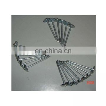 Factory direct sales 1-1/2" galvanized large round head roofing nails