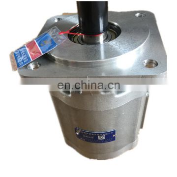Hydraulic pump CBG2063-BFH