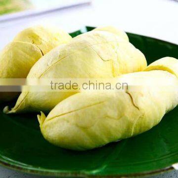 PREMIUM FRESH DURIAN FRUIT - HIGH QUALTIY - BEST PRICE