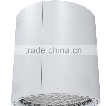 Surface-mounted 80W LED Downlight