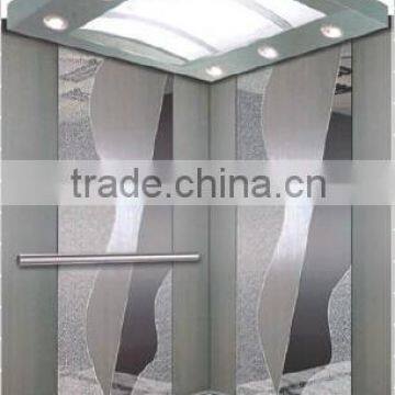 250kg AC Type competitive good price Villa Elevator small home elevator