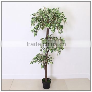 artificial indoor ficus tree