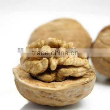 Fresh walnut origin of China hot selling