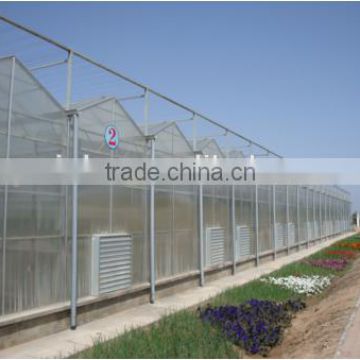 PC Sheet Cover Material industrial greenhouse for vegetable