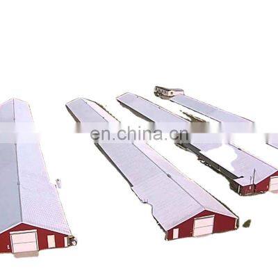 China Modern Low Cost High Quality Poultry Farm House Design Building For 1000 Chickens