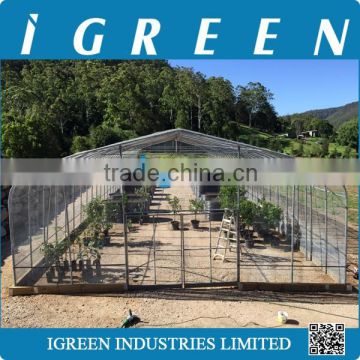 Agricultural insect net green house