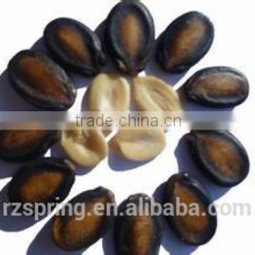 CHINESE BLACK WATERMELON SEED KERNELS