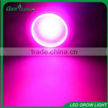 Table lamp led grow light full spectrum 12w cob led grow light