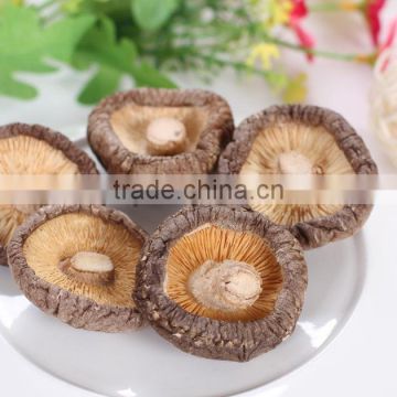 Dried brown color mushroom/dried mushroom/dried lentinus edodes