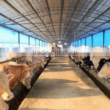 COW steel structure house