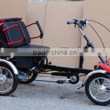 new electric tricycle for old couple