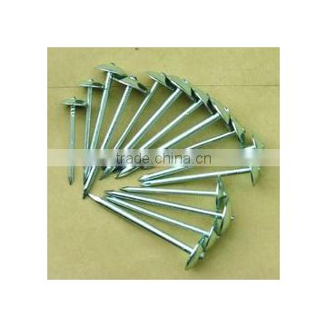 umbrella head roofing nails with rubber washer for sale